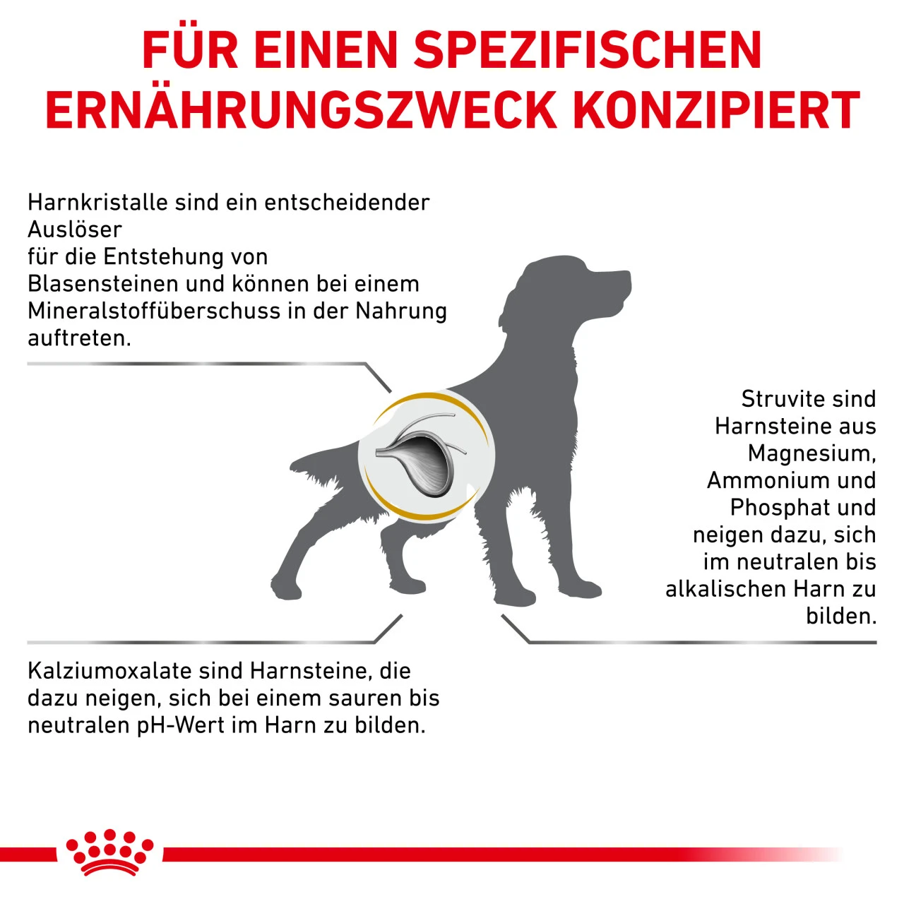 Royal Canin Urinary S/O Trockenfutter Für Hunde 7 Royal Canin Urinary S/O Trockenfutter Für Hunde – Bild 6