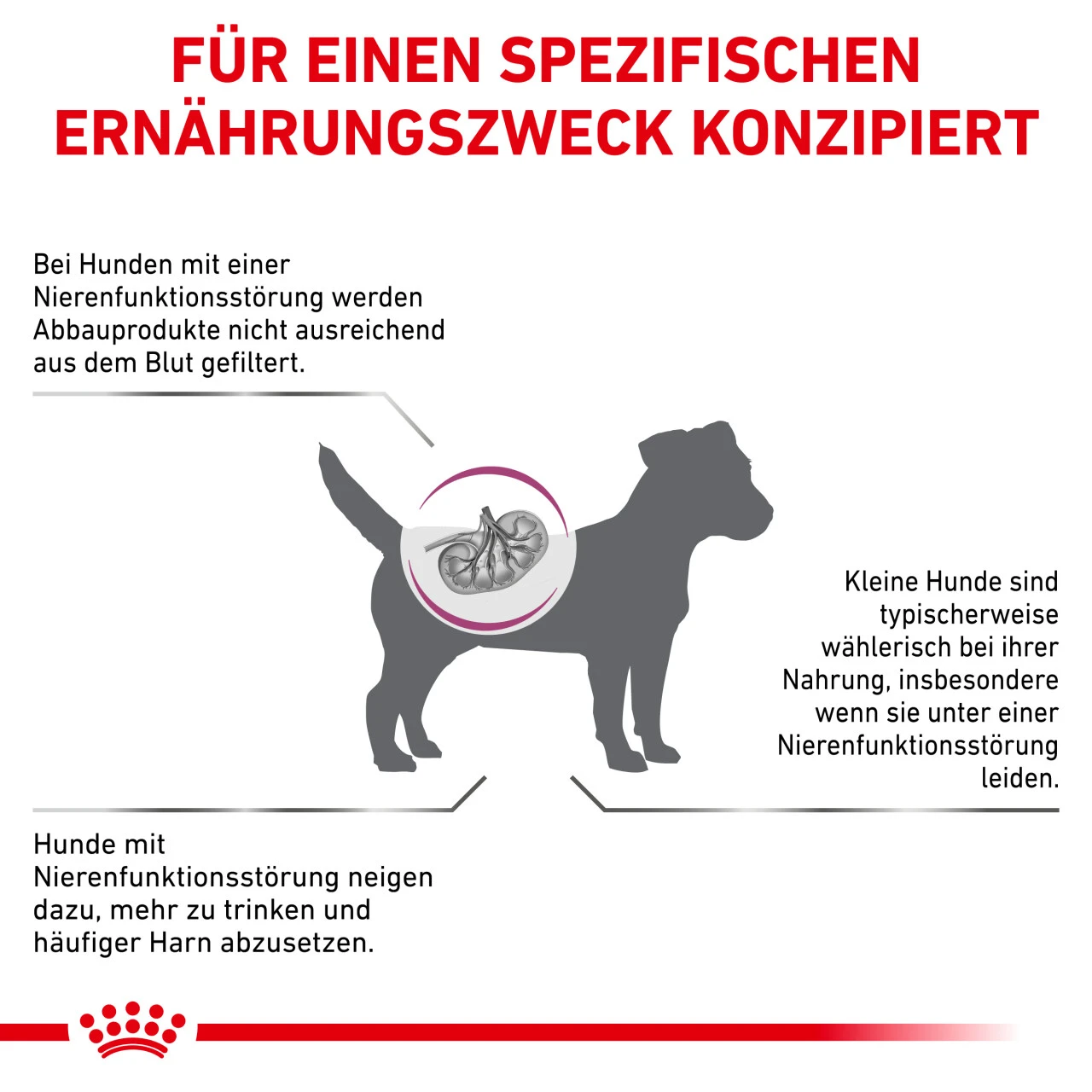 Royal Canin Renal Small Dogs Trockenfutter Für Hunde 7 Royal Canin Renal Small Dogs Trockenfutter Für Hunde – Bild 5