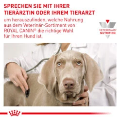 Royal Canin Renal Small Dogs Trockenfutter Für Hunde 17 Royal Canin Renal Small Dogs Trockenfutter Für Hunde -Vetena Verkäufe royal canine renal small dogs hund8